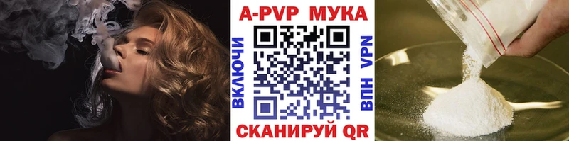 как найти закладки  площадка какой сайт  A PVP крисы CK  Новодвинск 