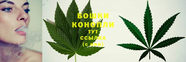 дурь Киреевск