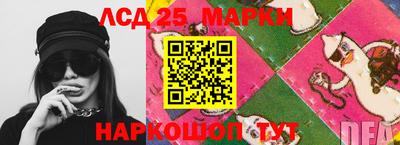 мяу мяу мука Нальчик