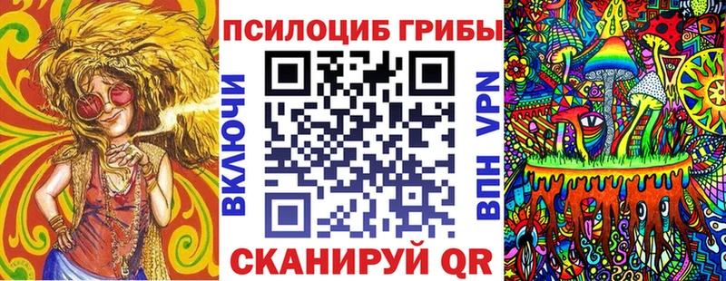 Псилоцибиновые грибы Psilocybe  Новодвинск 