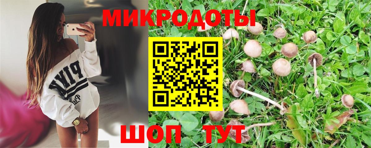 где продают   Галлюциногенные грибы ЛСД  Псилоцибиновые грибы мицелий  Вход с VPN  Новодвинск 
