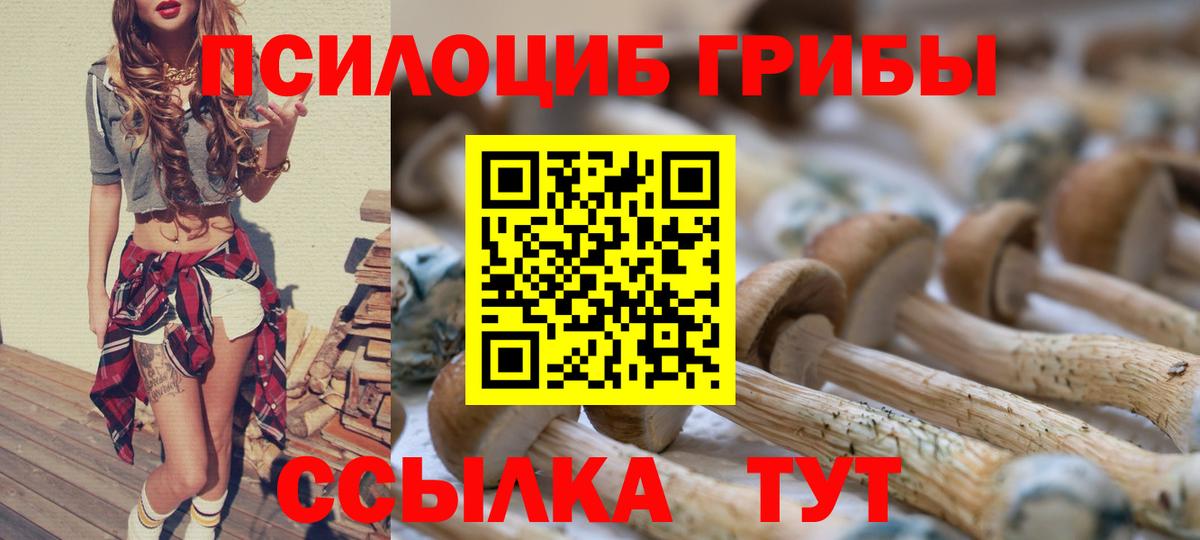 Галлюциногенные грибы Magic Shrooms Новодвинск