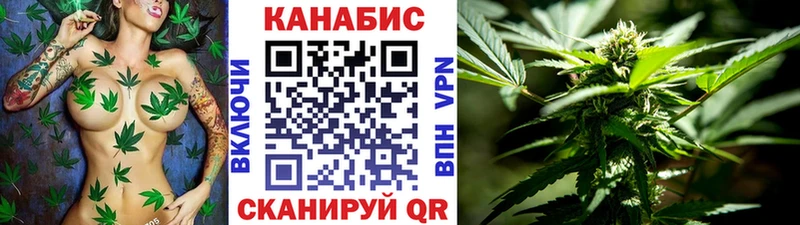 Каннабис SATIVA & INDICA Новодвинск